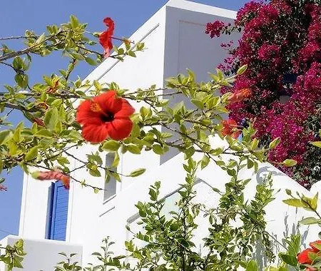 Moschoula Πάρος