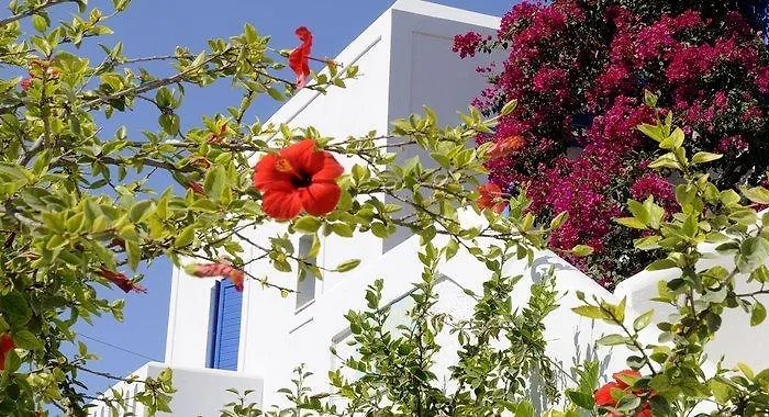 Moschoula Parikia (Paros)